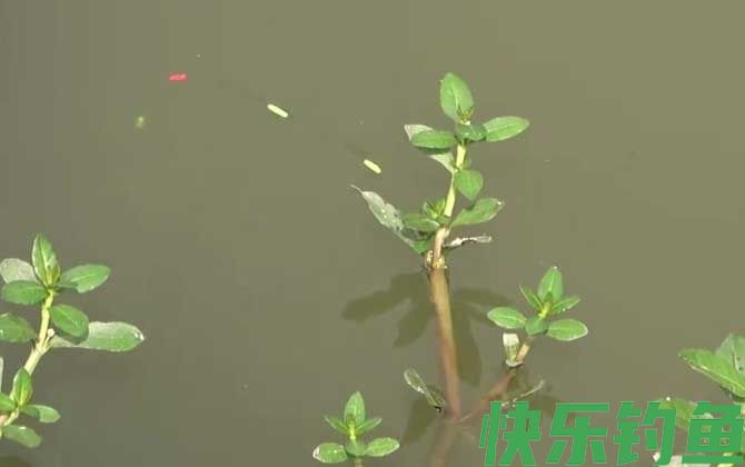 七星漂
