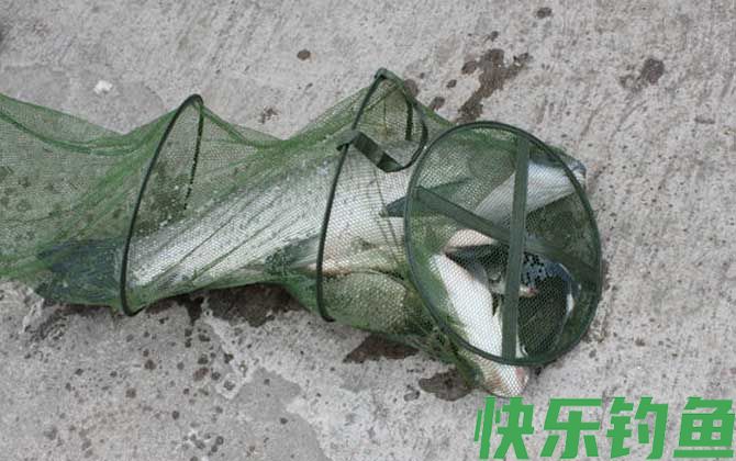 钓青鱼