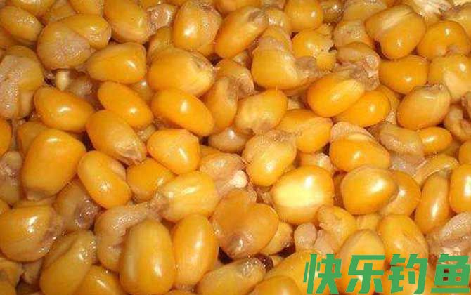 嫩玉米