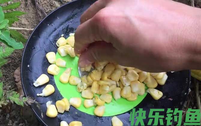 嫩玉米