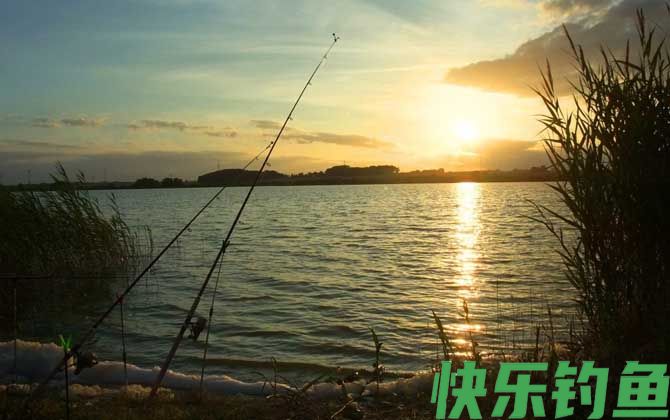 夏季钓鱼
