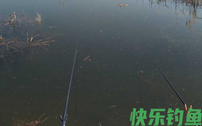 春季钓鱼怎样避开小杂鱼？
