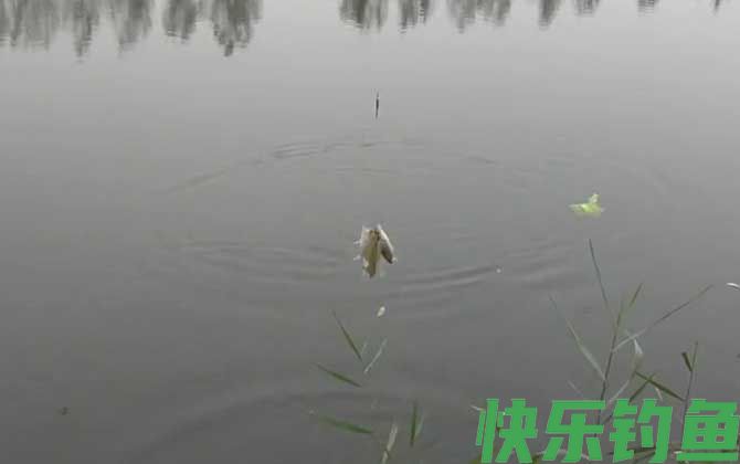 深秋钓鱼
