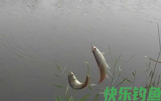 深秋钓鱼
