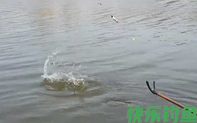 水库钓鱼