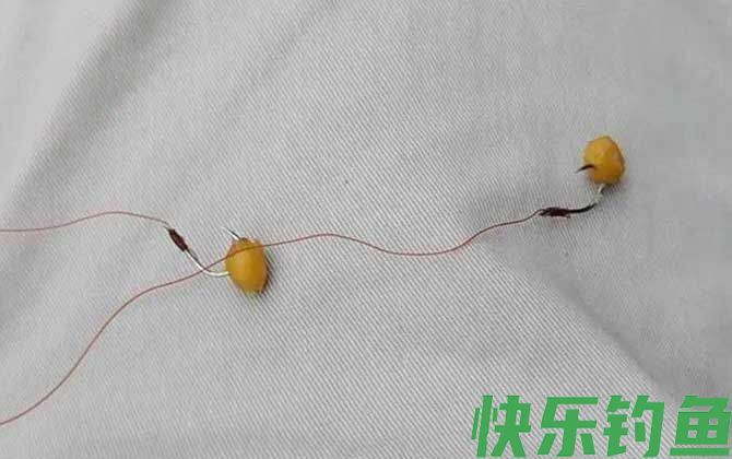 麦粒