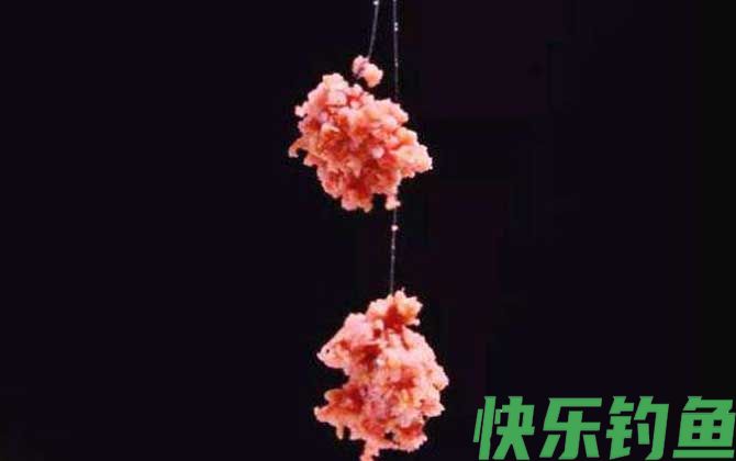 一月钓鱼用什么饵料？