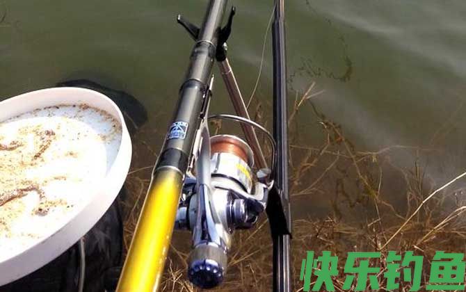 春季钓鱼饵料配方大全