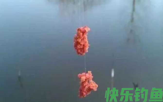 冬季钓鱼用腥饵还是香饵？