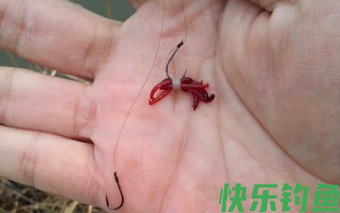 红虫是什么的幼虫？