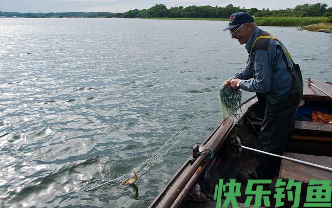 筏钓用什么饵料？