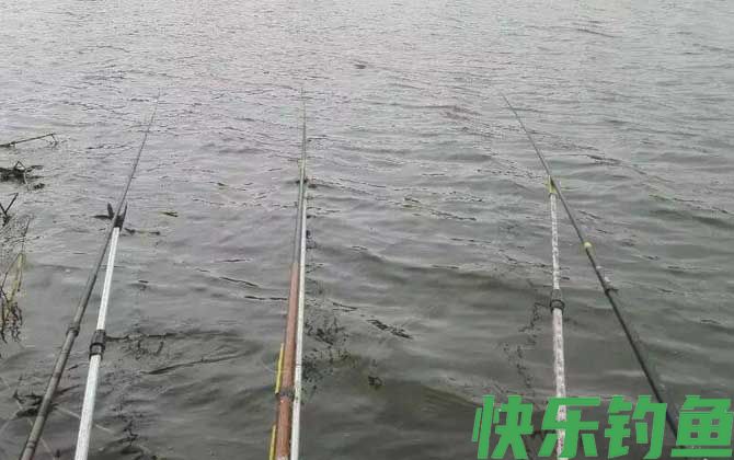 水库钓鱼用什么饵料？