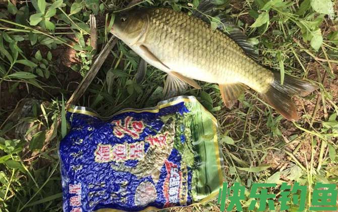 春季钓鱼打窝用什么味型的？