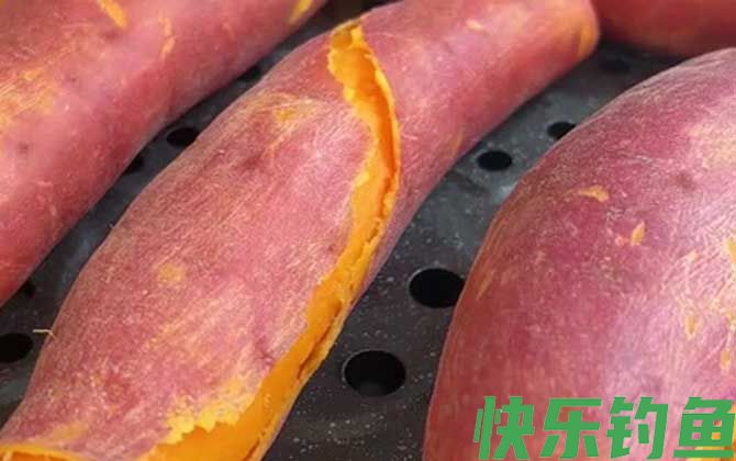 红薯钓鱼效果怎么样？