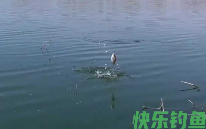 二月钓鱼的技巧和方法