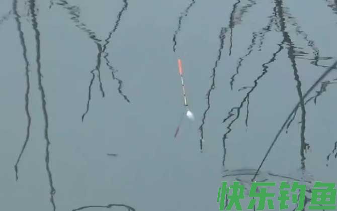 调二目钓四目怎么调漂?