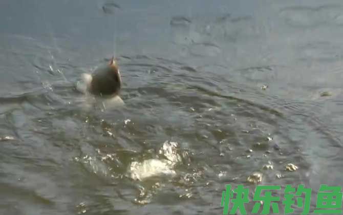 九月钓鱼怎么选钓位?