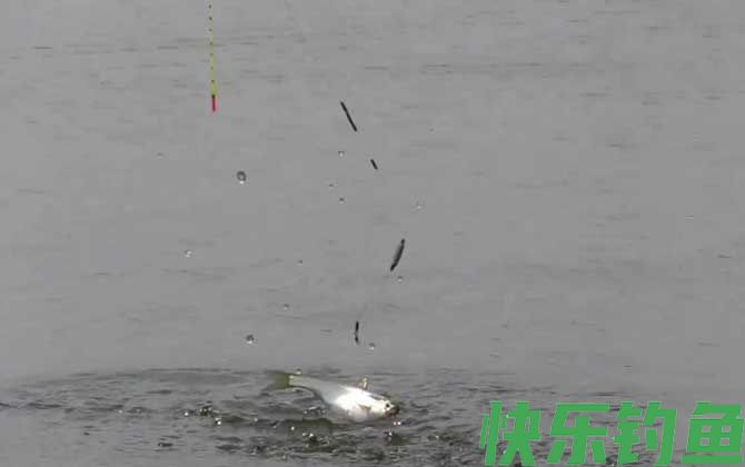 四月份钓鱼怎样选钓点打窝？