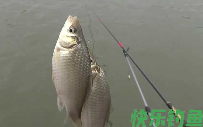 初冬钓鱼天气怎么选择?