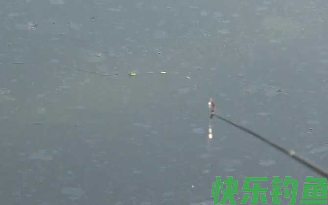 深秋钓鱼什么时间段比较好?