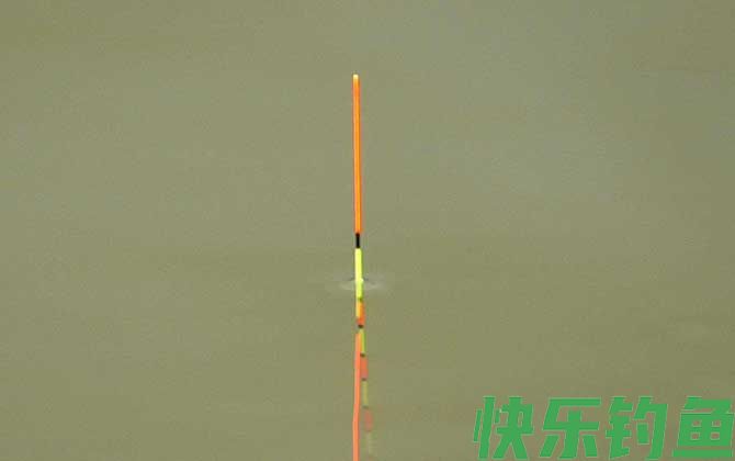 钓鱼调漂的正确方法