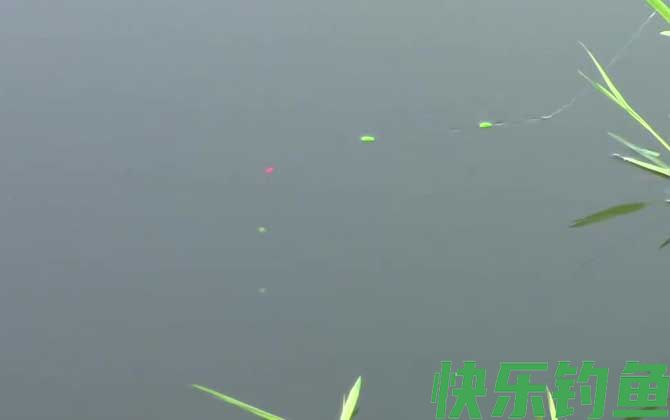 初夏钓鱼钓深水还是浅水?