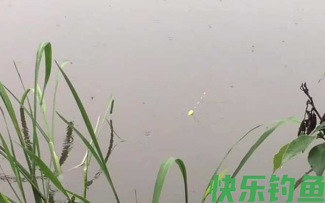 初夏钓鱼选择什么位置最好?