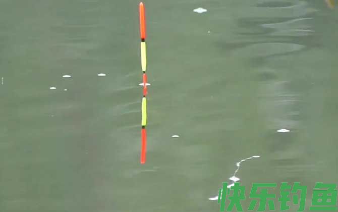 台钓调漂带钩还是不带钩?