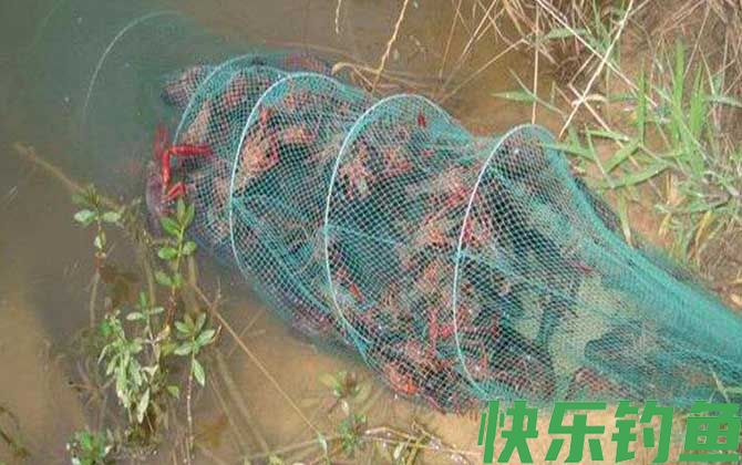 地笼放在什么地方鱼比较多？