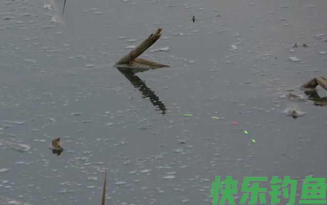 八月钓鱼技巧和方法