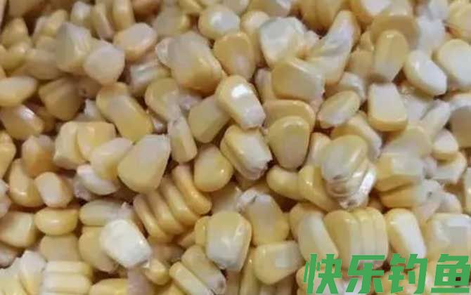 老坛玉米打窝嫩玉米钓效果好吗?