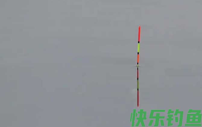 为什么钓半水容易上鱼？