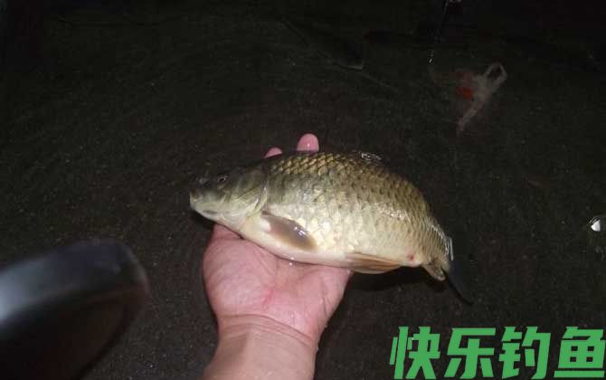 晚上钓鱼真的好钓吗？