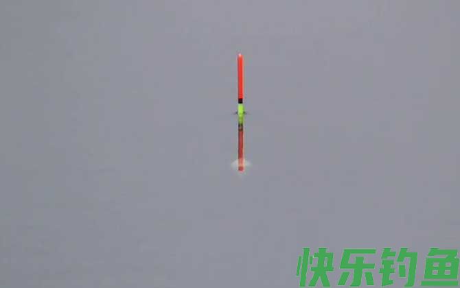 回锅鱼老滑鱼怎么钓？