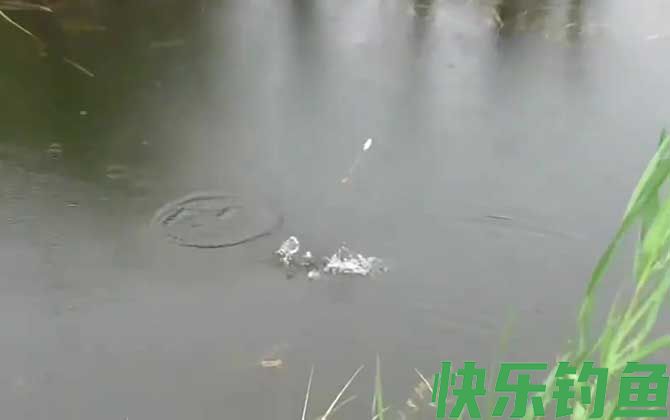 五月钓鱼选择什么位置最好？