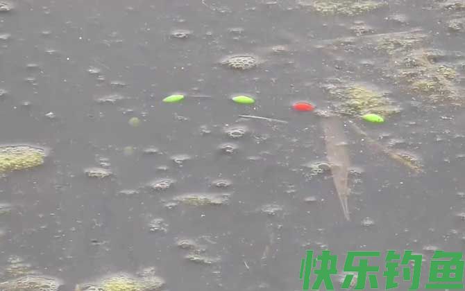 七星漂钓鱼什么时候提竿？