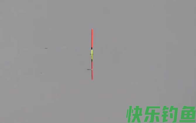 秋季钓鱼钓上风还是下风？