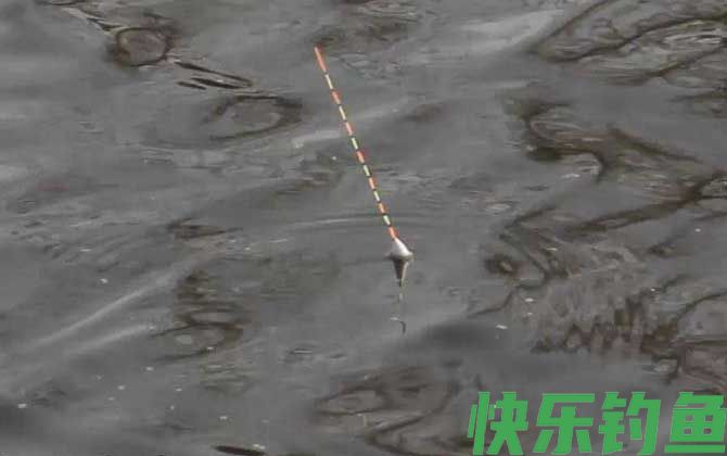 野钓黑漂不中鱼怎么回事？
