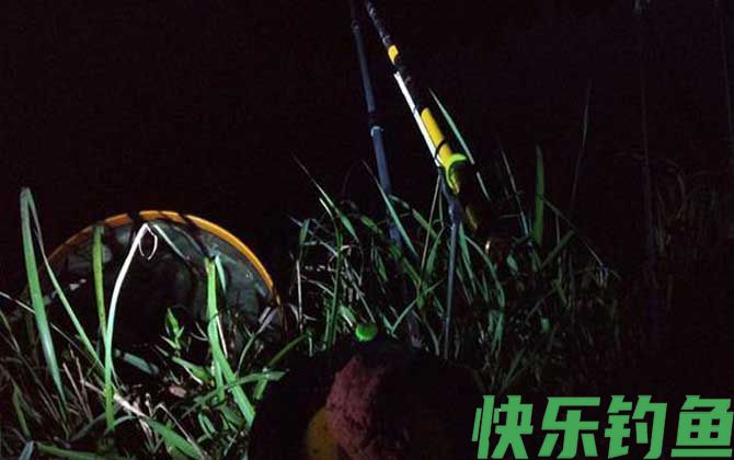 夏天夜钓钓近还是钓远？