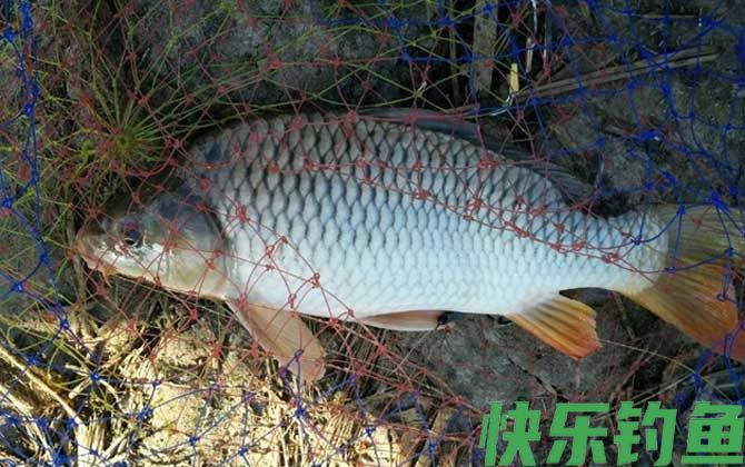 大水库钓鱼一般钓多深？