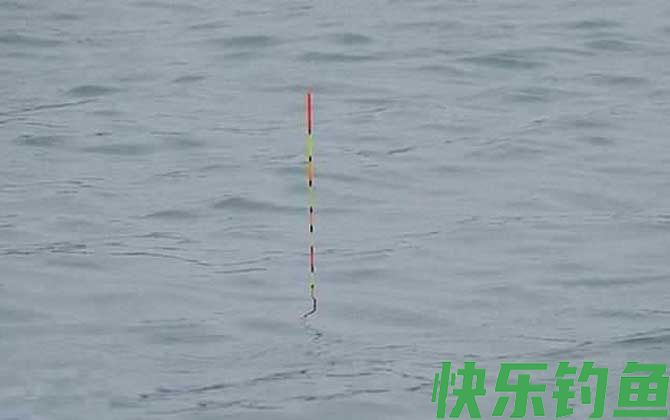 钓鱼怎样看漂提竿最佳？