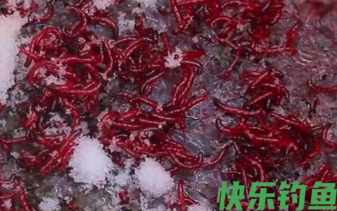 红虫野钓调漂调几钓几最好？