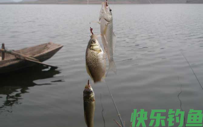 春天钓鲫鱼浅滩多深好？