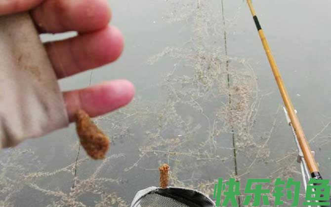 商品饵料