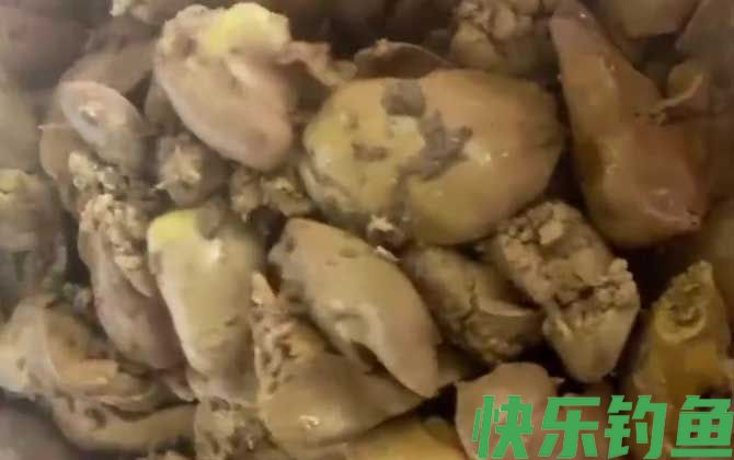 鸡肝钓鱼