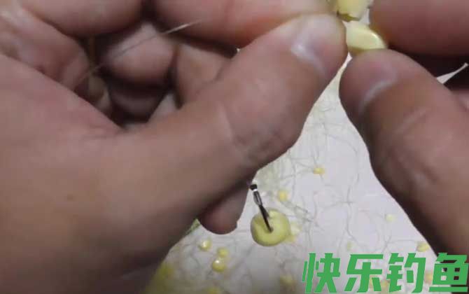 玉米