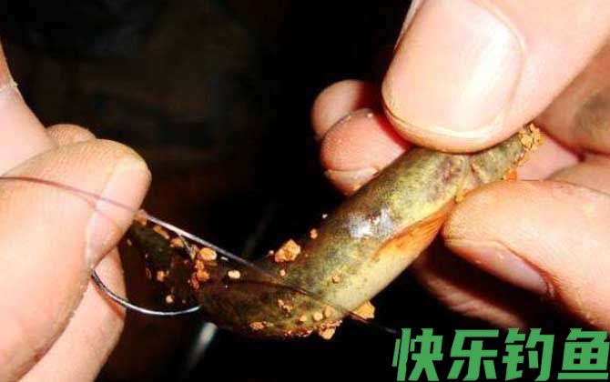 泥鳅钓鱼