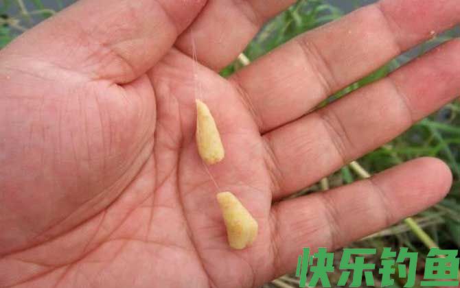 饵料