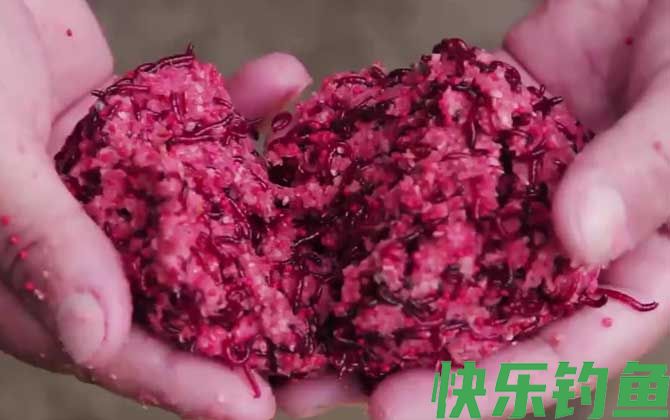 红虫钓鲫鱼