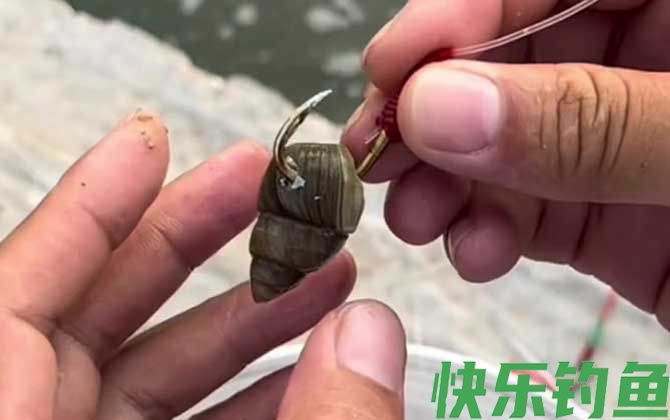 螺蛳钓鱼
